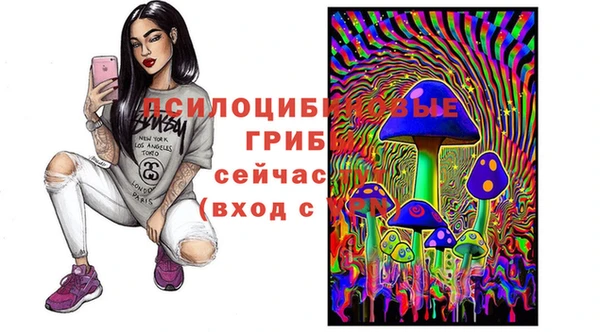 прущая мука Бородино