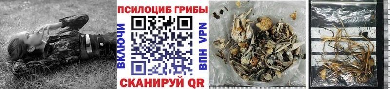 OMG ссылка  Клинцы  Псилоцибиновые грибы Cubensis  цена наркотик 